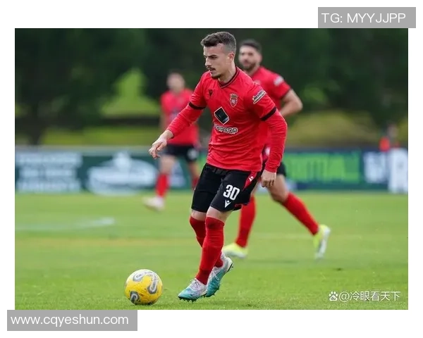 足球传奇永恒回忆：缅怀那些离世球星带给世界的精彩与激情