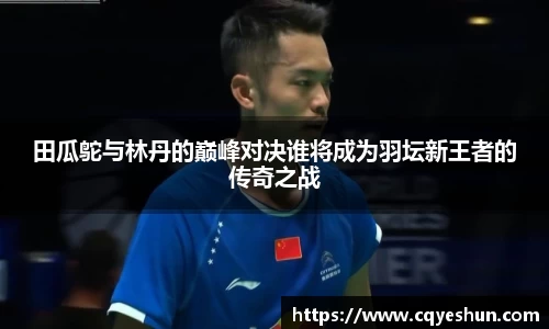 田瓜鸵与林丹的巅峰对决谁将成为羽坛新王者的传奇之战